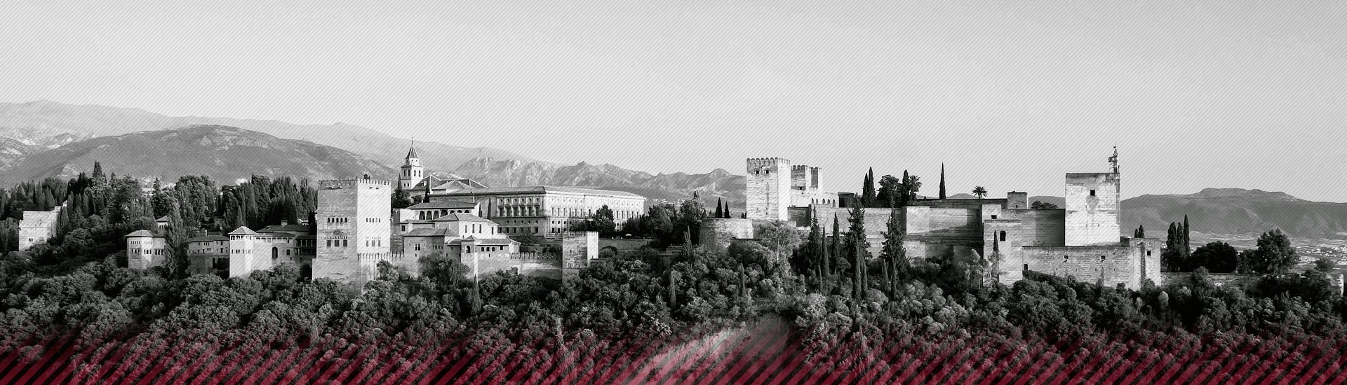 BANNERGRANABIP1